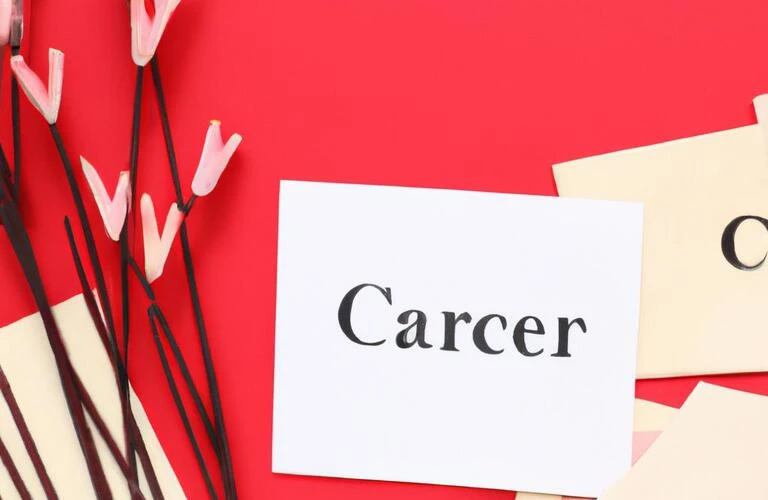 未経験から始める、ホワイト企業でのキャリア形成